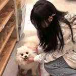 烈火沙城bt版下载